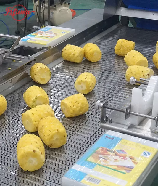 Pineapple Processing Lines in Action: 5 Factory Cases — Mini Pineapple, Fan Slices, Rings & Chunks Pineapple Processing Lines in Action: 5 Factory Cases — Mini Pineapple, Fan Slices, Rings & Chunks