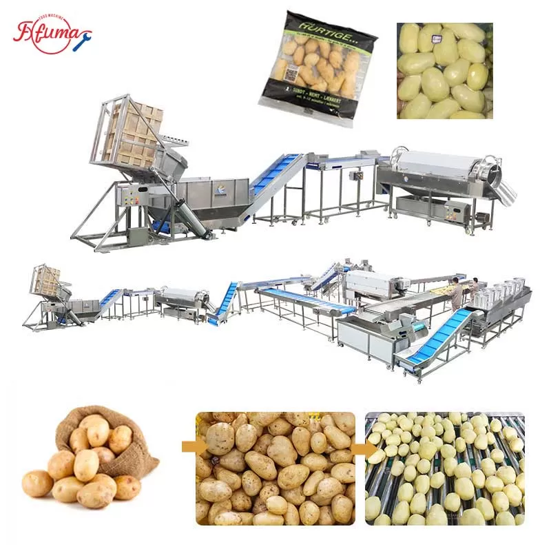 Potato Cleaning, Peeling Processing Line for Food Processing Plants Potato Cleaning, Peeling Processing Line for Food Processing Plants