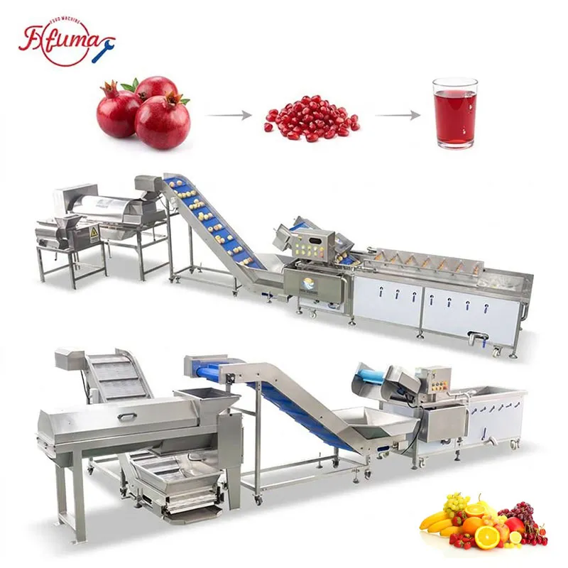 Pomegranate Processing Line 0.5-2T/H for Fruit Factory Pomegranate Processing Line 0.5-2T/H for Fruit Factory